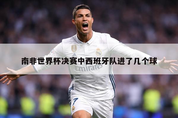 南非世界杯决赛中西班牙队进了几个球